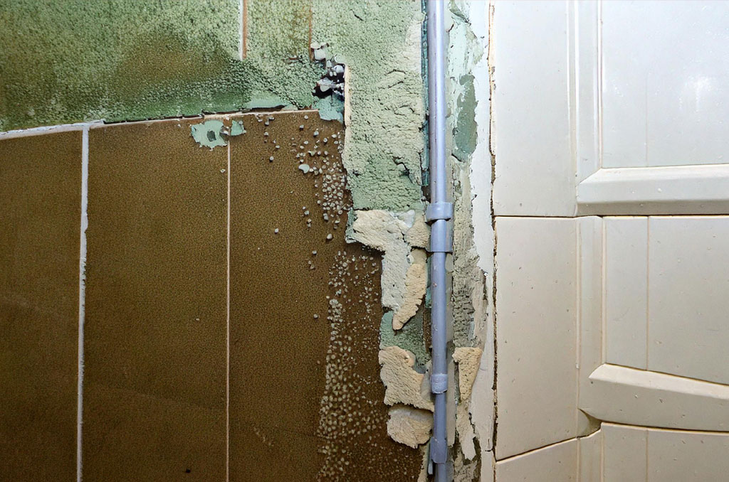 damaged bathroom wall